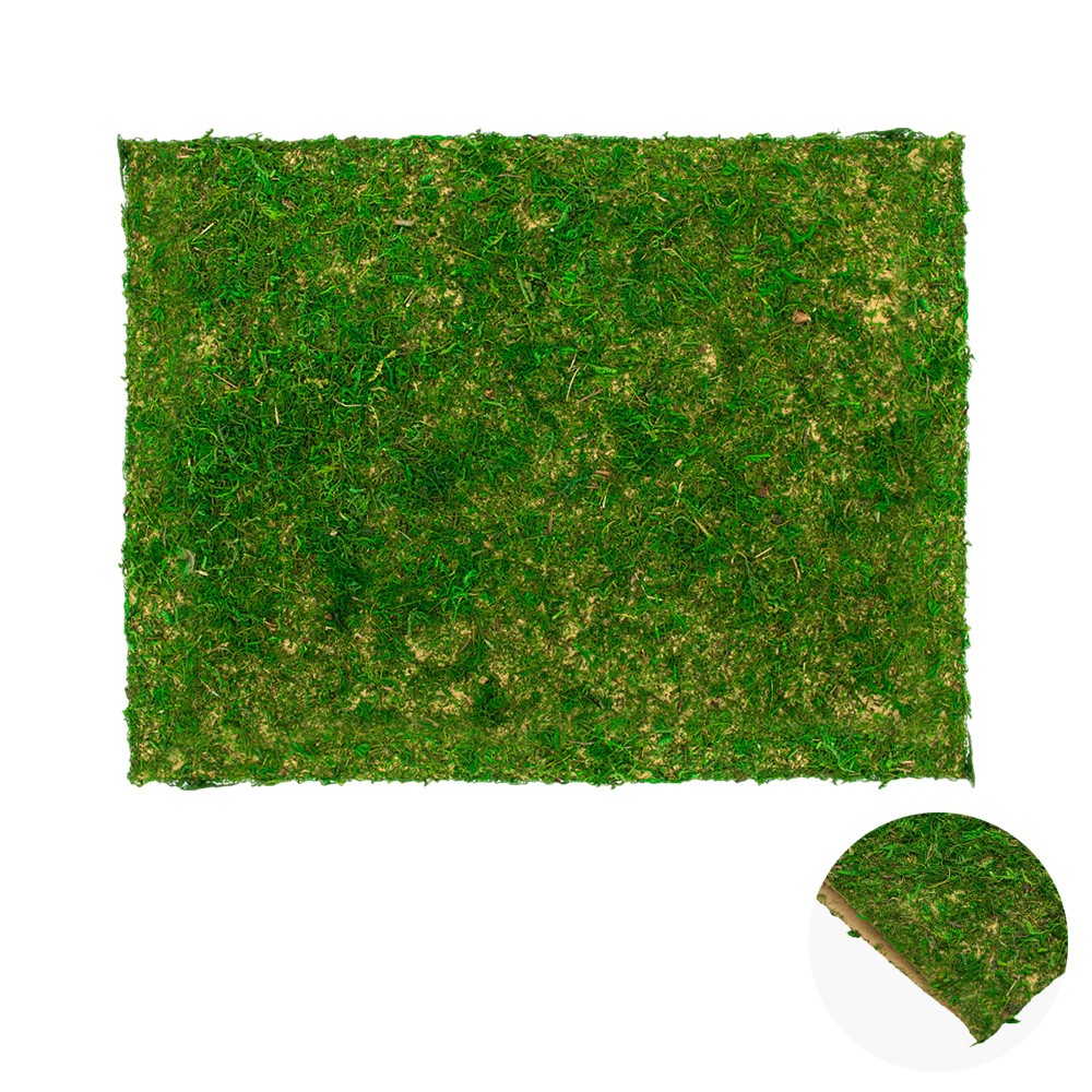 Foglio carta con muschio verde per Presepe