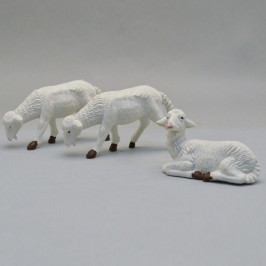 Gruppo 3 Pecore
